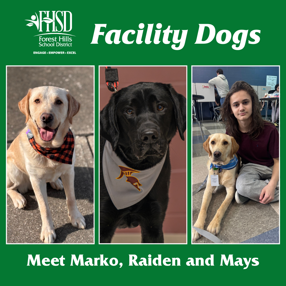 Article cover with FHSD logo that says "Facility Dogs, meet Marko, Raiden and Mays